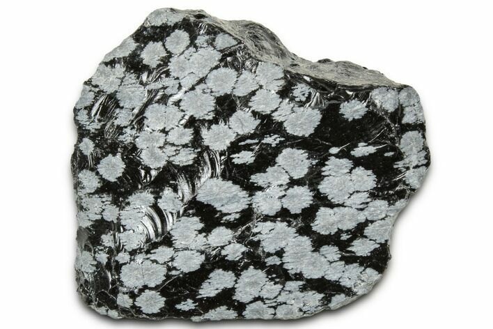 Snowflake Obsidian Section - Utah #327136
